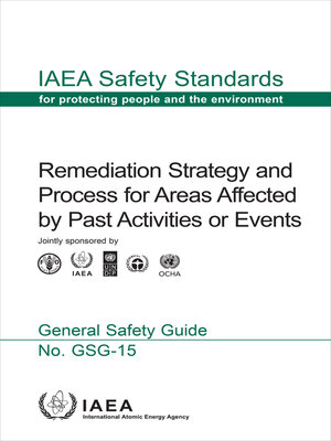 cover image of Remediation Strategy and Process for Areas Affected by Past Activities or Events